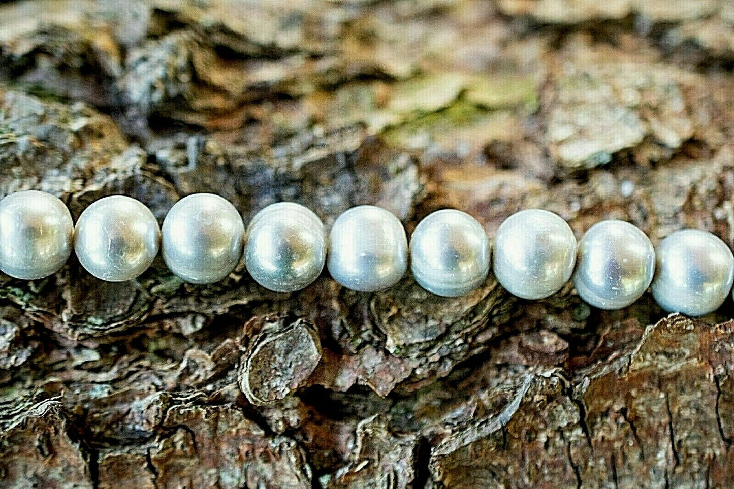 10-11 mm Hellgraue Runde ZUCHTPERLENKETTE A-Qualität mit hohem Lüster 925/Silber