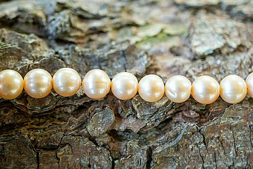 Lachs-Rosé Rund Naturfarben Ø 11 mm ZUCHTPERLENKETTE Tolle AA Qualität! TOP!!